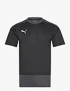 teamGOAL 23 Training Jersey - PUMA BLACK-ASPHALT