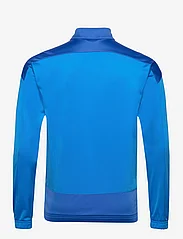 PUMA - teamGOAL 23 Training Jacket - sweaters - electric blue lemonade-team power blue - 1