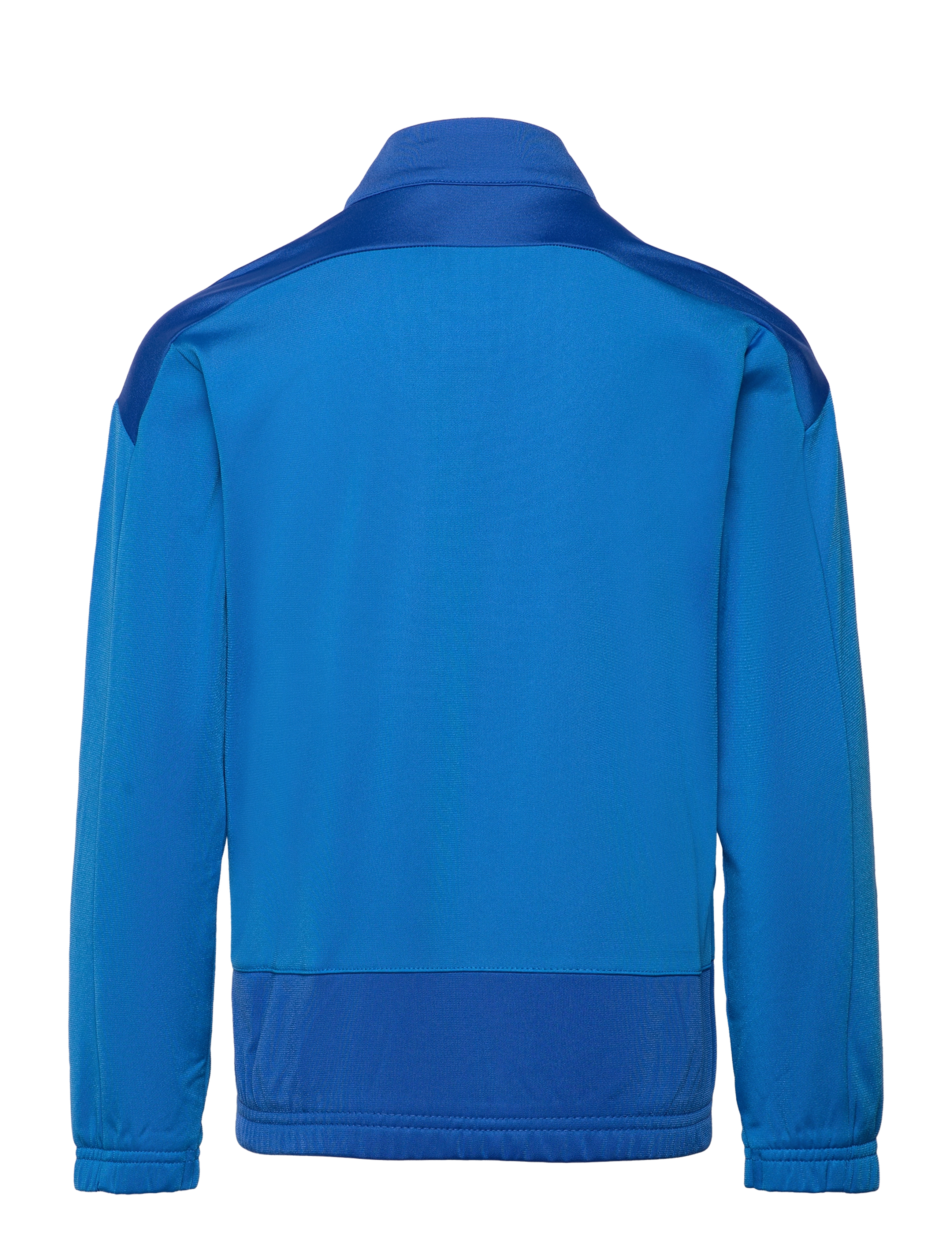 PUMA - teamGOAL 23 Training Jacket Jr - electric blue lemonade-team power blue - 1