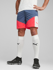 PUMA - individualCUP Shorts - mažiausios kainos - puma white-inky blue - 2