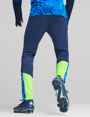 PUMA - individualCUP Training Pants - sporta bikses - persian blue-pro green - 6