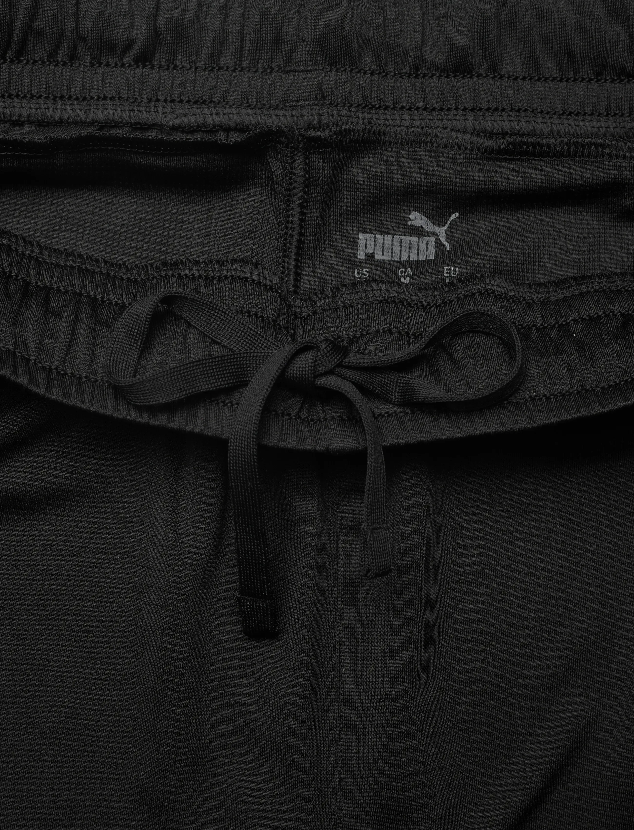 PUMA - teamFINAL Training Shorts - puma black-puma silver - 2