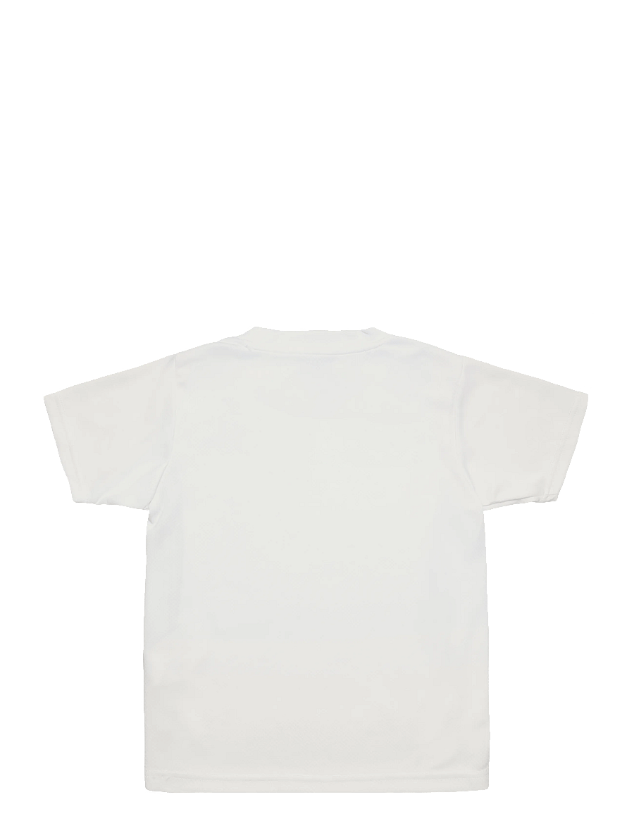 PUMA - teamGOAL Jersey Jr - sportoberteile - puma white-puma black-feather gray - 1