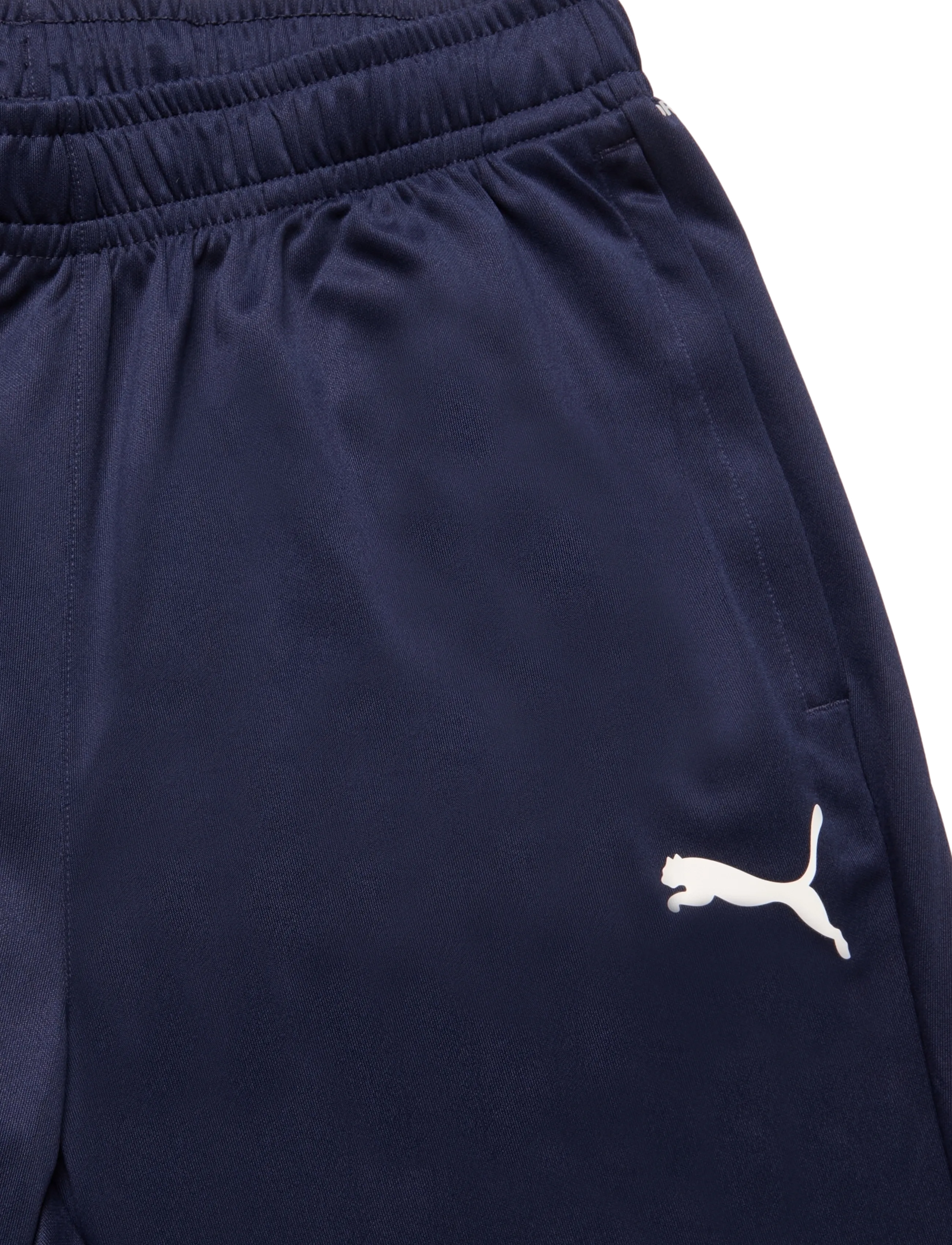 PUMA - teamGOAL Training Pant - trainingshosen - puma navy-puma white-persian blue - 2