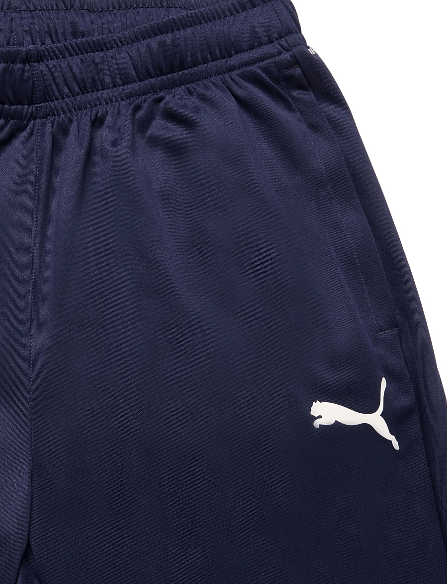 PUMA - teamGOAL Training Pant - spordipüksid - puma navy-puma white-persian blue - 2