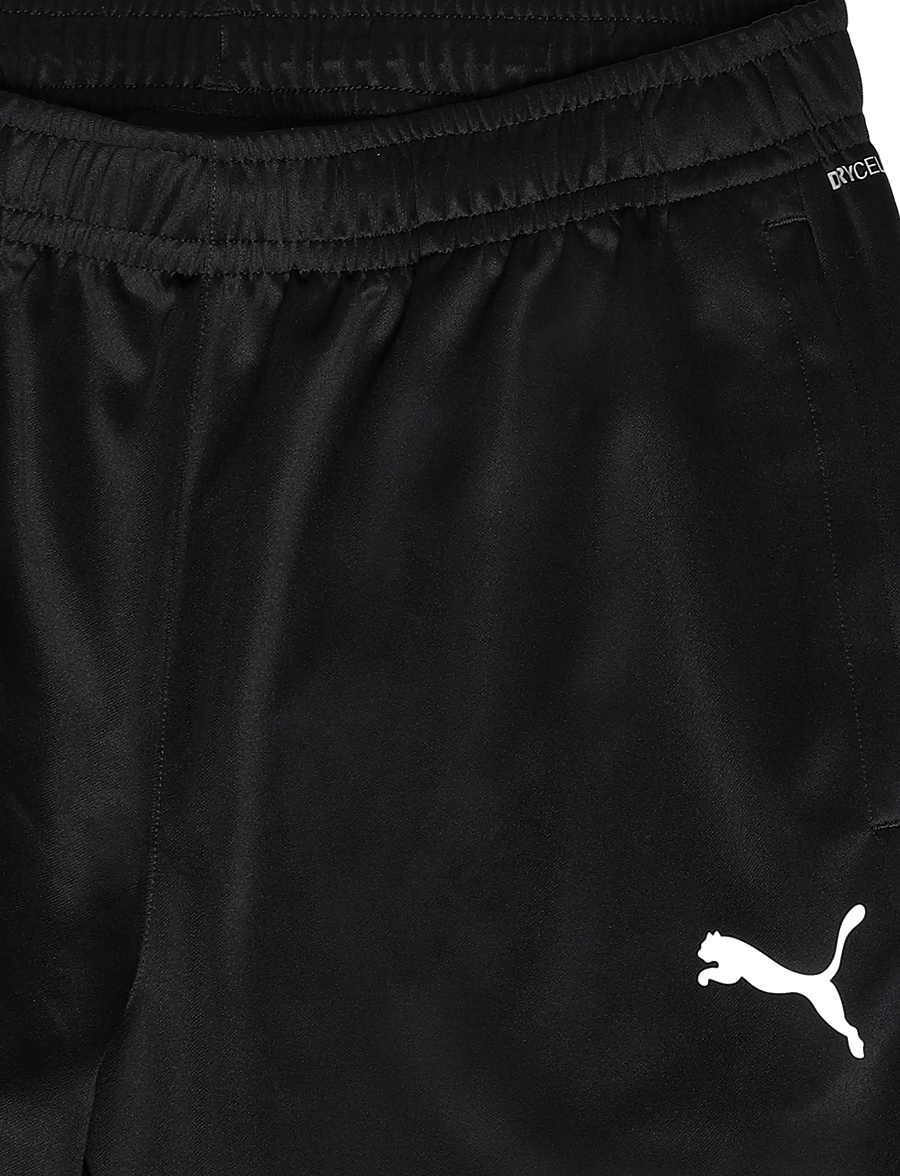 PUMA - teamGOAL Training Pant - trainingshosen - puma black-puma white-flat dark gray - 2