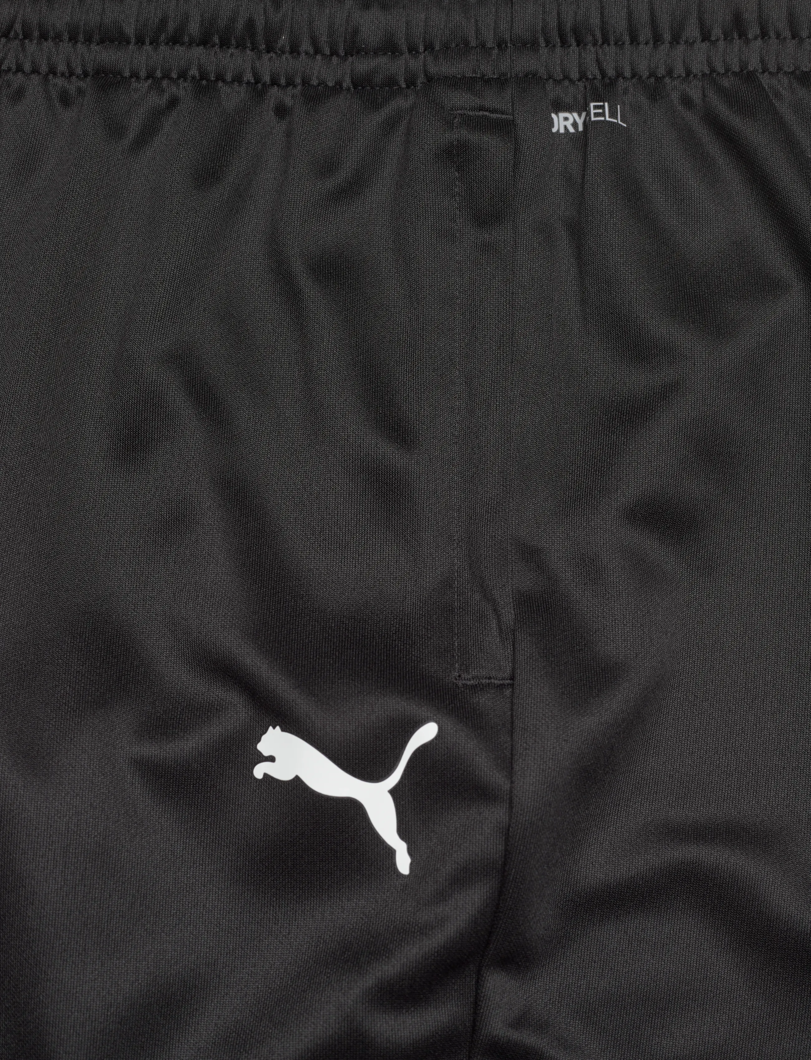 PUMA - teamGOAL Training Pant Jr - träningstights - puma black-puma white-flat dark gray - 2