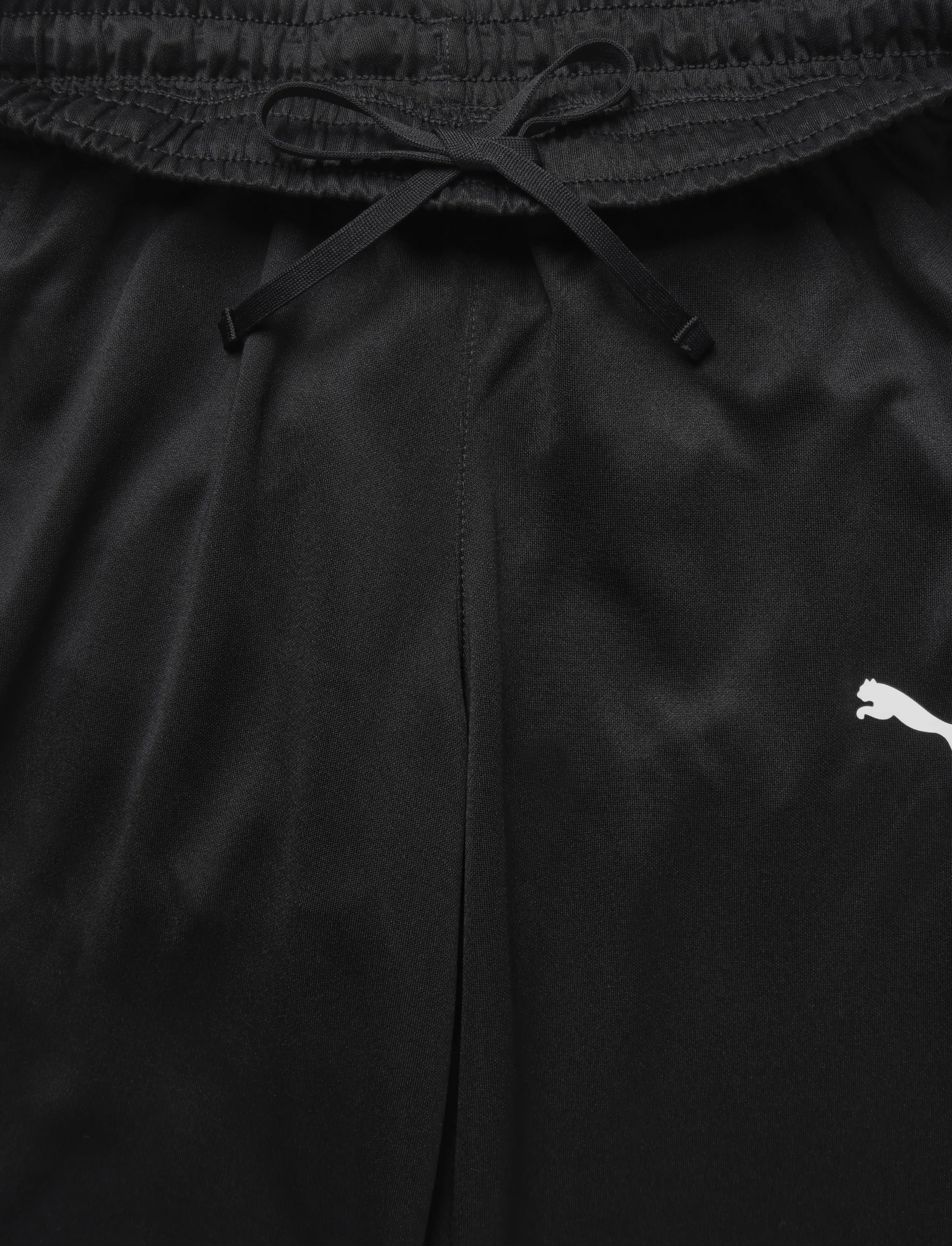 PUMA - teamGOAL Training Pant Wmn - träningsbyxor - puma black-puma white-flat dark gray - 2
