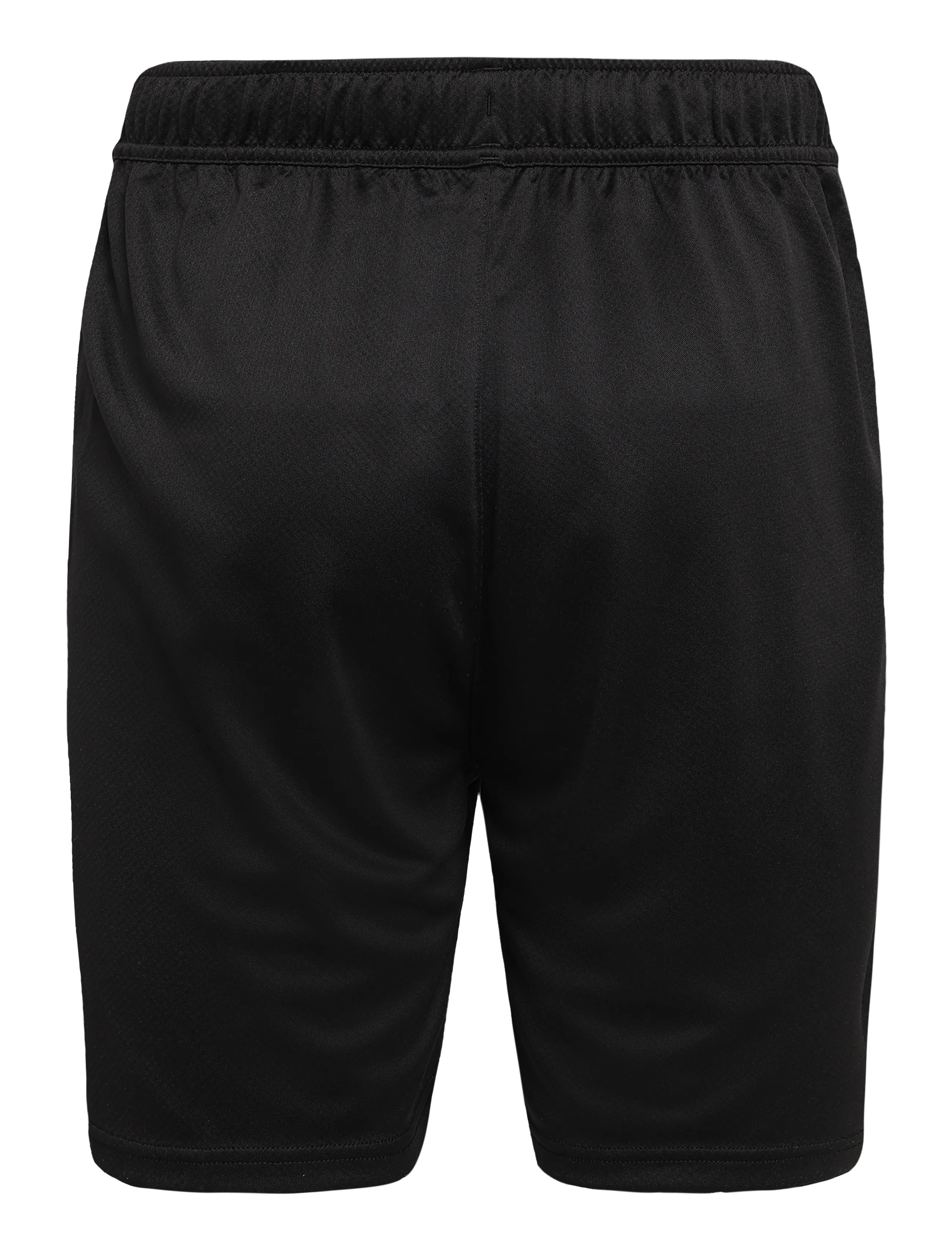 PUMA - teamGOAL Training Short - trainingsshorts - puma black-puma white-flat dark gray - 1