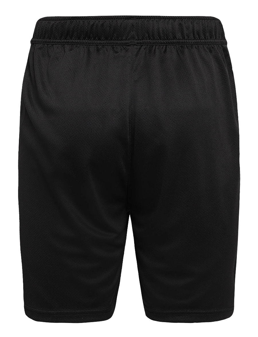 PUMA - teamGOAL Training Short - lühikesed treeningpüksid - puma black-puma white-flat dark gray - 1