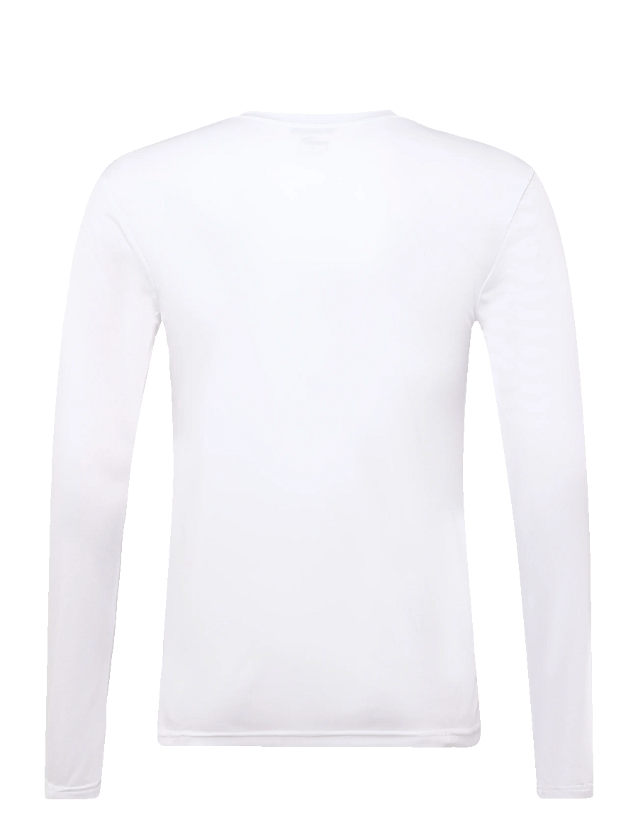 PUMA - teamGOAL Baselayer Tee LS - funktionsunterwäsche - oberteile - puma white-feather gray - 1