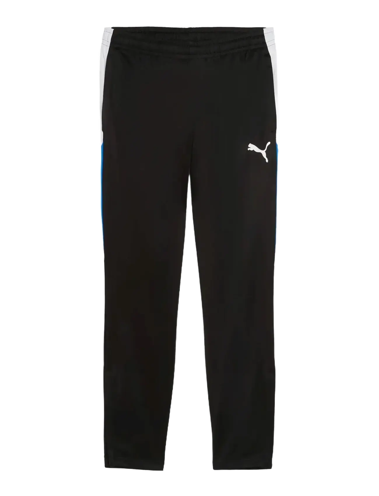 PUMA Individualliga Training Hosen Schwarz - XS - Herren