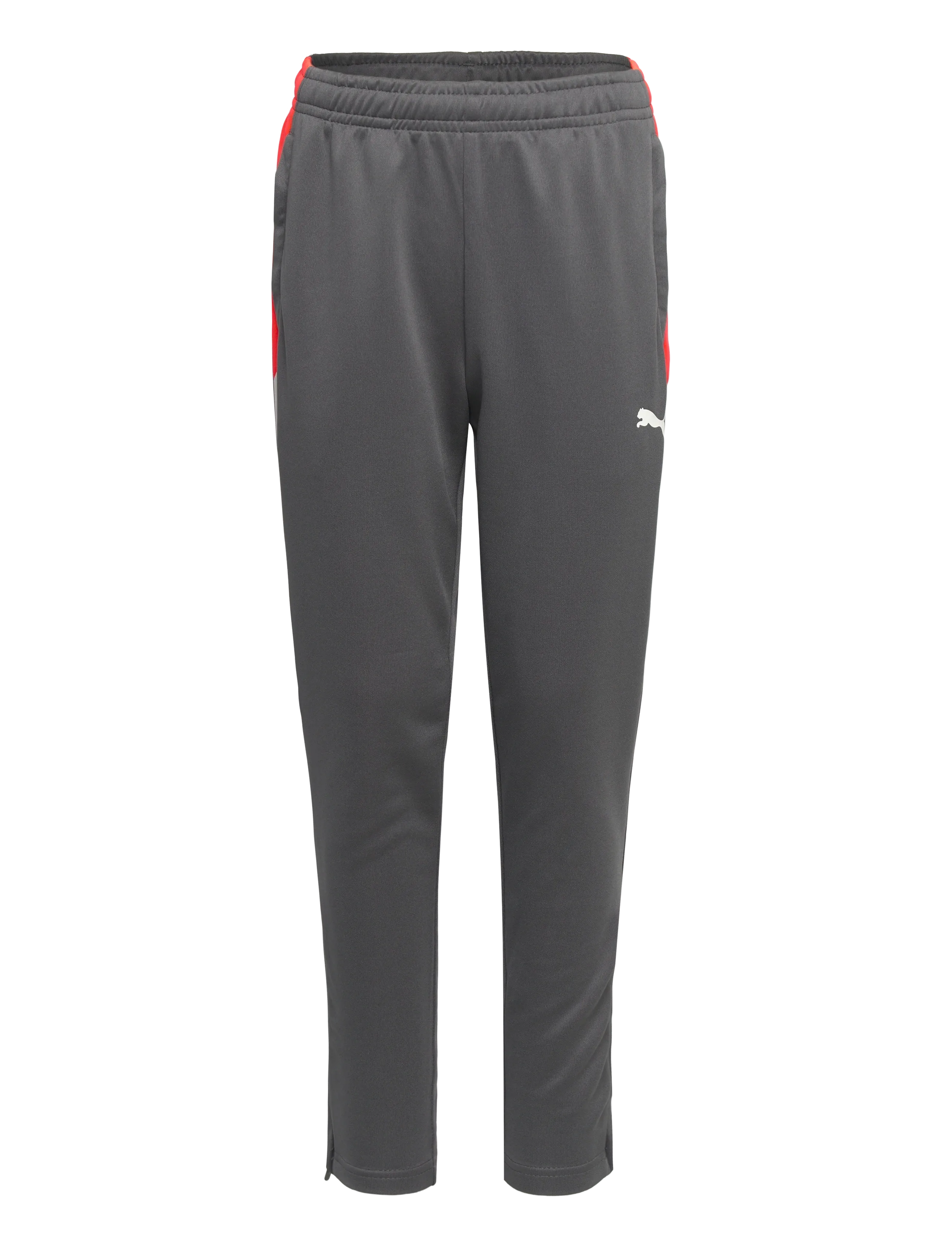 PUMA - Individualliga Training Pants Jr