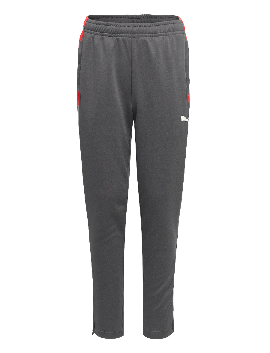 PUMA - IndividualLIGA Training Pants Jr - treenihousut - shadow gray-puma white-glowing red - 0