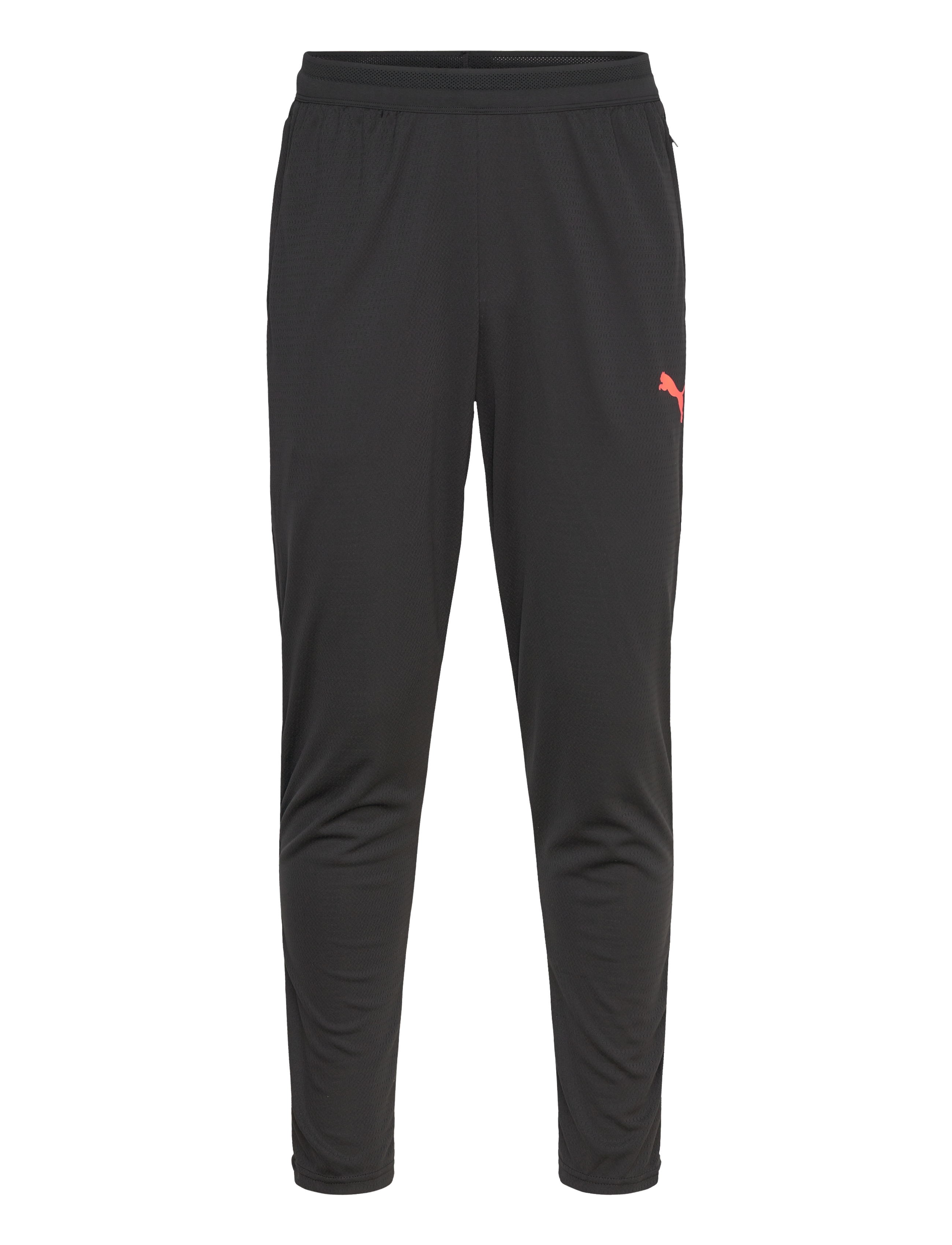 PUMA Individualcup Training Hosen Schwarz - XS - Herren