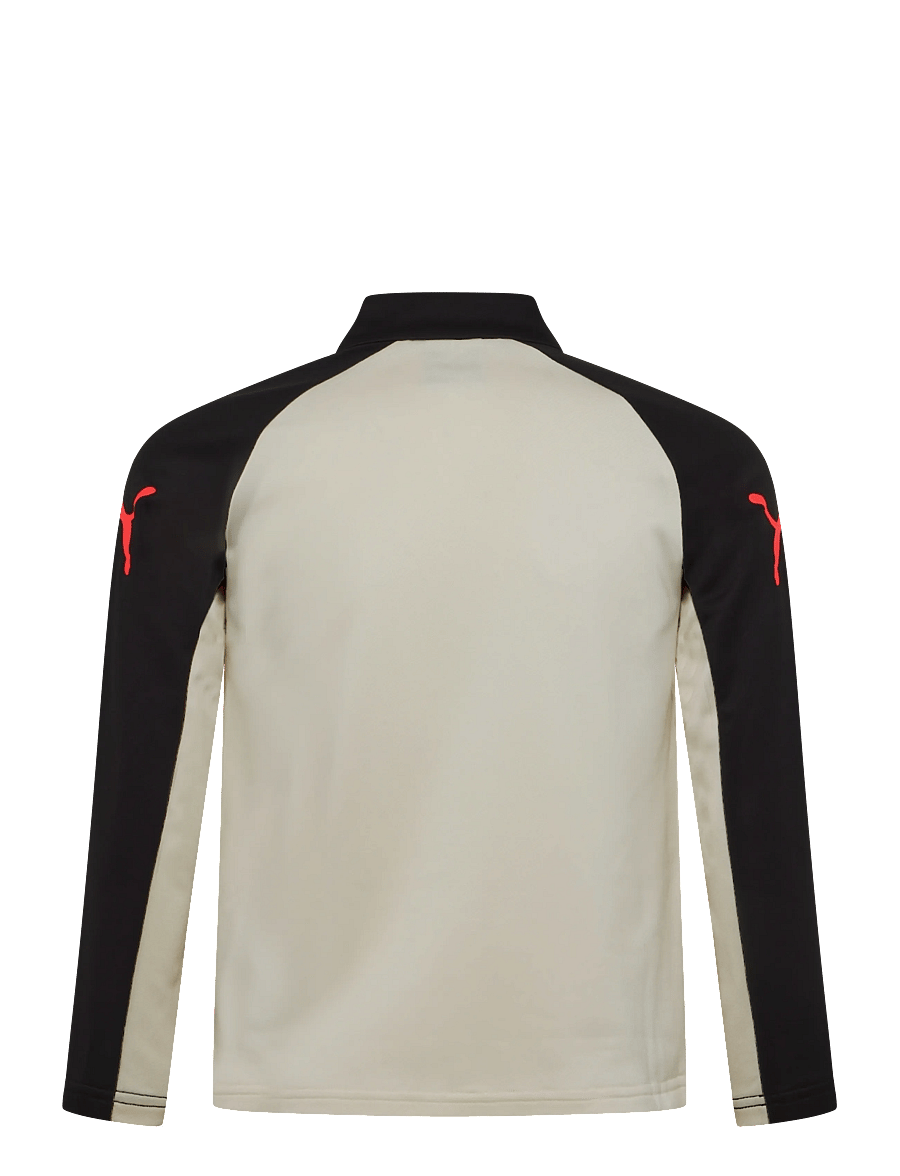 PUMA - IndividualLIGA 1/4 Zip Top Jr - sweatshirts - sugared almond-ultra red-puma black - 1