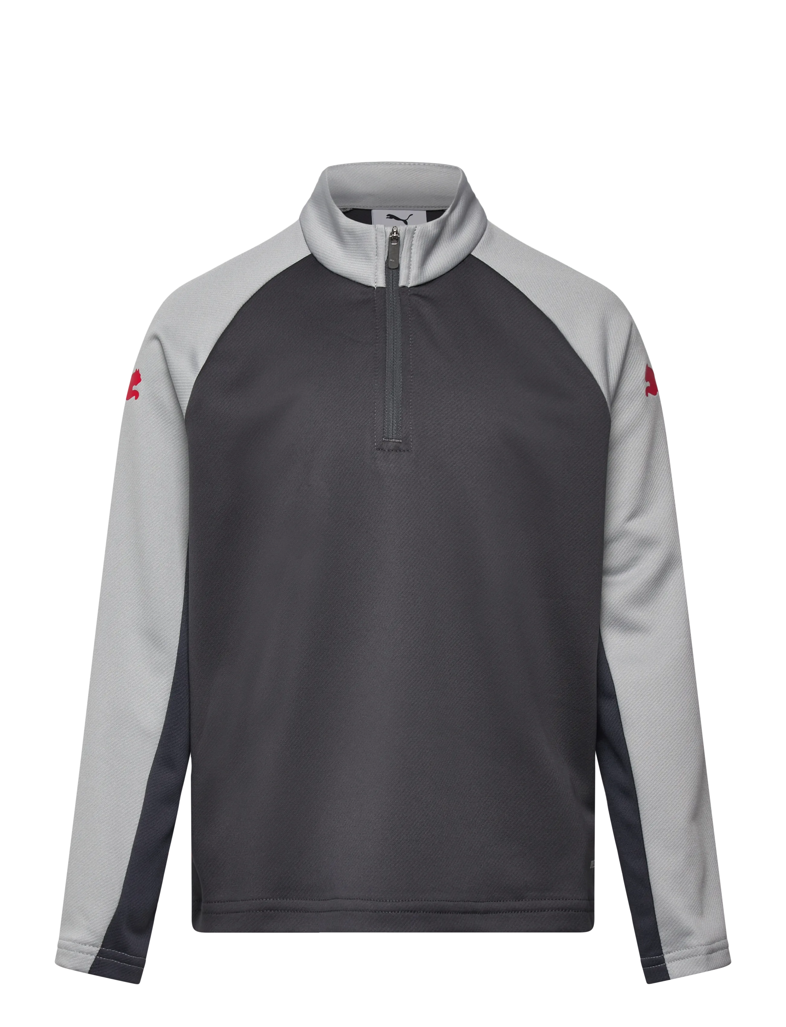 PUMA IndividualLIGA 1/4 Zip Top Jr - Kleidung - DUSKY GRAY-PUMA RED-GRAY ECHO / grey