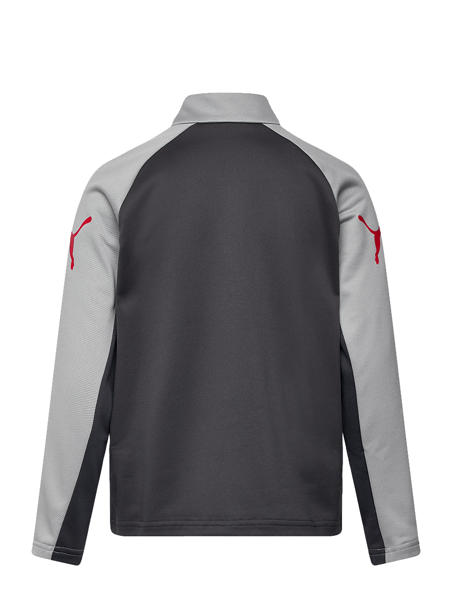 PUMA - IndividualLIGA 1/4 Zip Top Jr - sweatshirts - dusky gray-puma red-gray echo - 1
