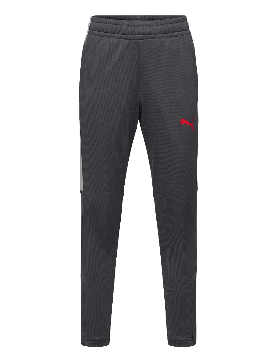 PUMA - IndividualLIGA Training Pants Jr - trainingshosen - strong gray-puma red-gray echo - 0