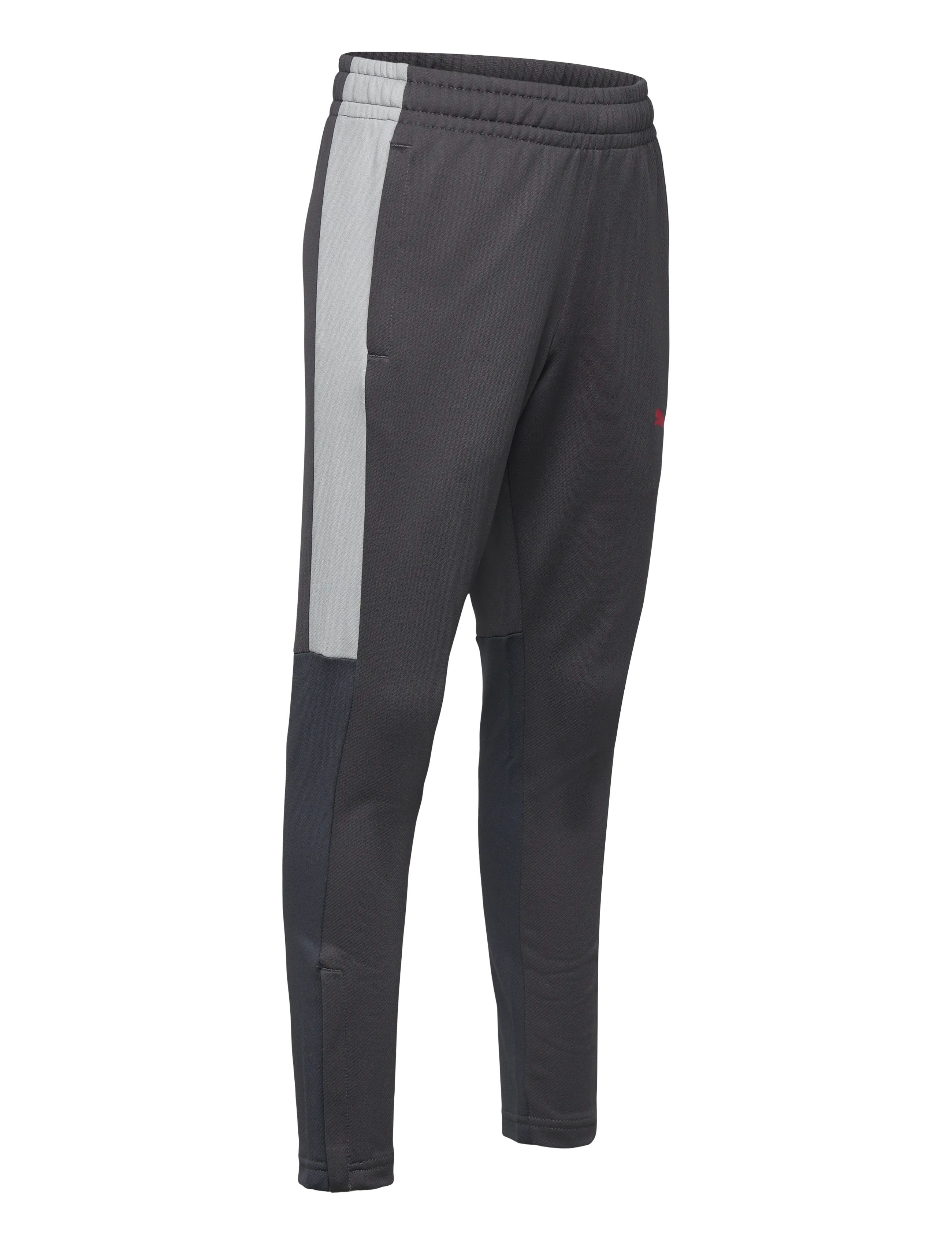 PUMA - IndividualLIGA Training Pants Jr - training pants - strong gray-puma red-gray echo - 2
