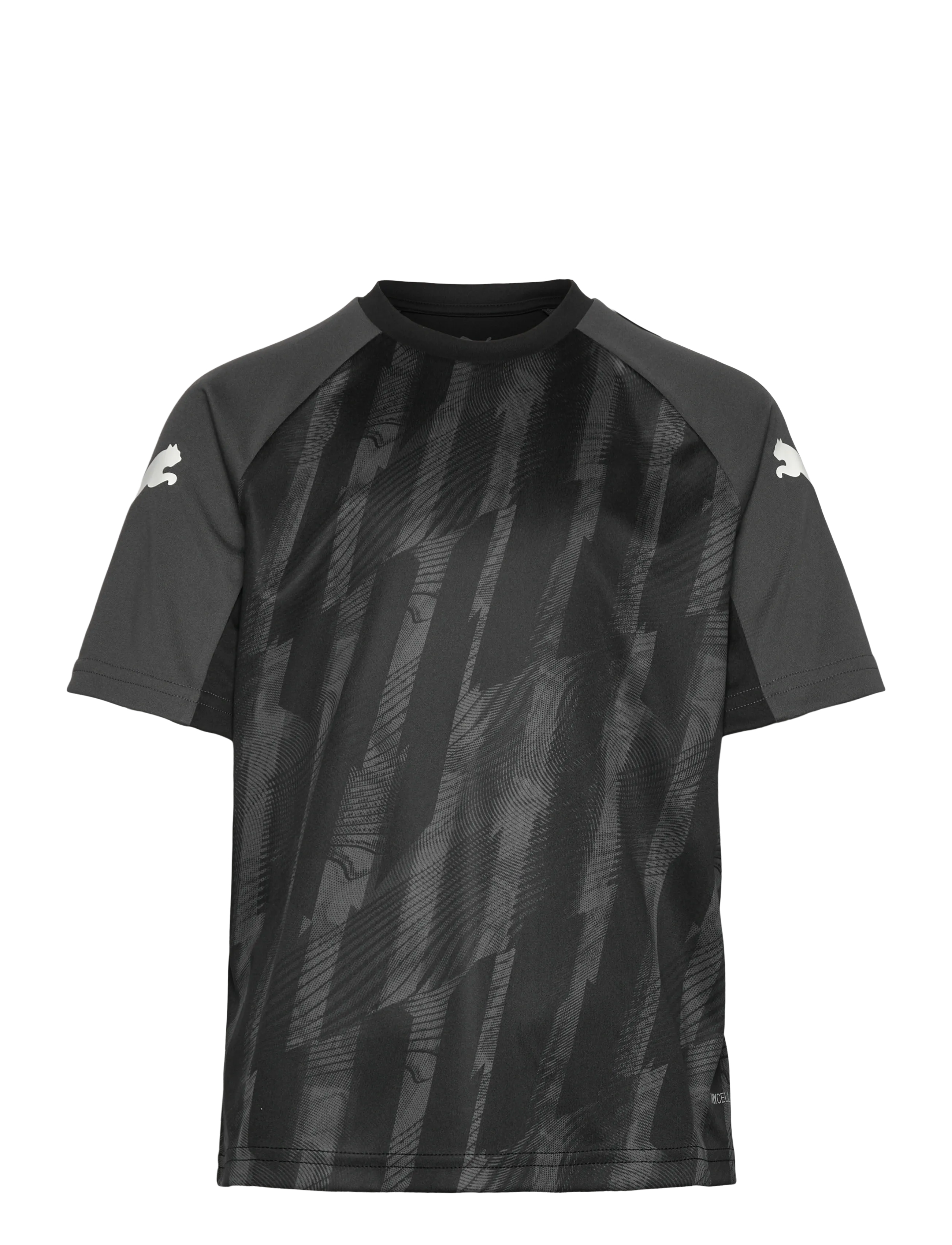 PUMA Individualliga Graphic Jersey Jr, 164, T-shirts, Grau - Football Shirts, Kinder