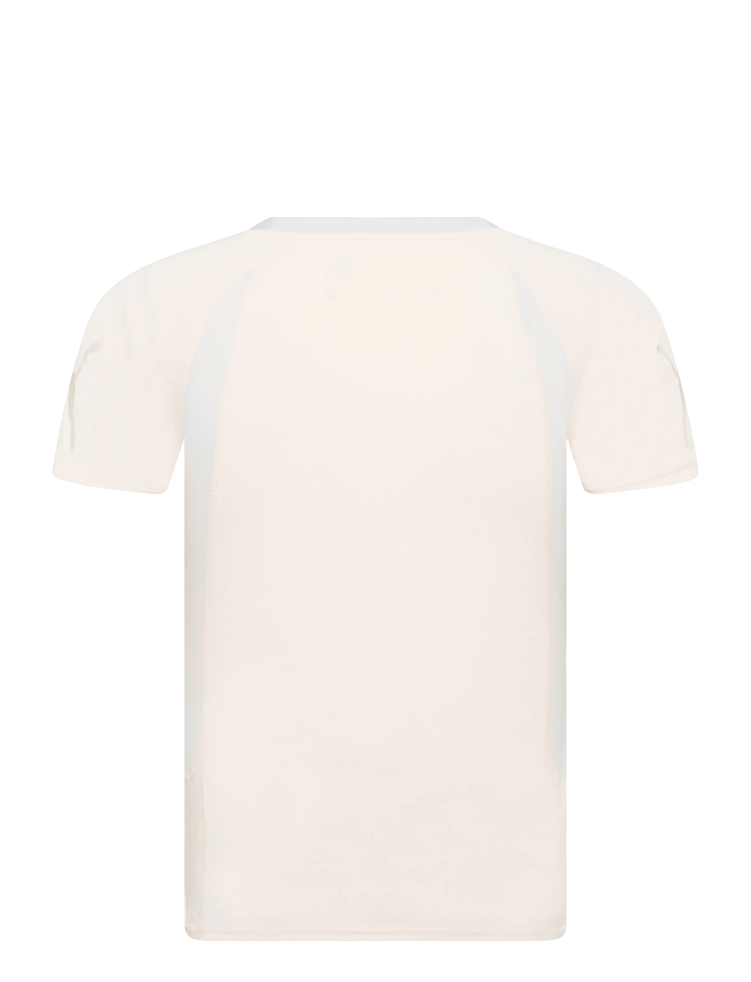 PUMA - IndividualBLAZE Jersey - sugared almond-sedate gray - 1