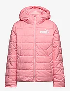 ESS Hooded Padded Jacket - PEACH SMOOTHIE