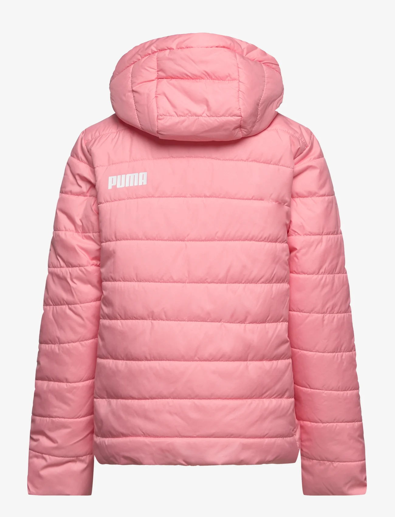 PUMA - ESS Hooded Padded Jacket - insulated jackets - peach smoothie - 1
