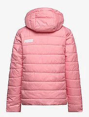 PUMA - ESS Hooded Padded Jacket - insulated jackets - peach smoothie - 1