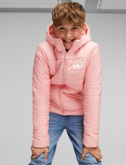 PUMA - ESS Hooded Padded Jacket - insulated jackets - peach smoothie - 2