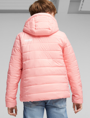 PUMA - ESS Hooded Padded Jacket - insulated jackets - peach smoothie - 4