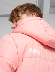 PUMA - ESS Hooded Padded Jacket - insulated jackets - peach smoothie - 5
