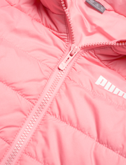 PUMA - ESS Hooded Padded Jacket - insulated jackets - peach smoothie - 6