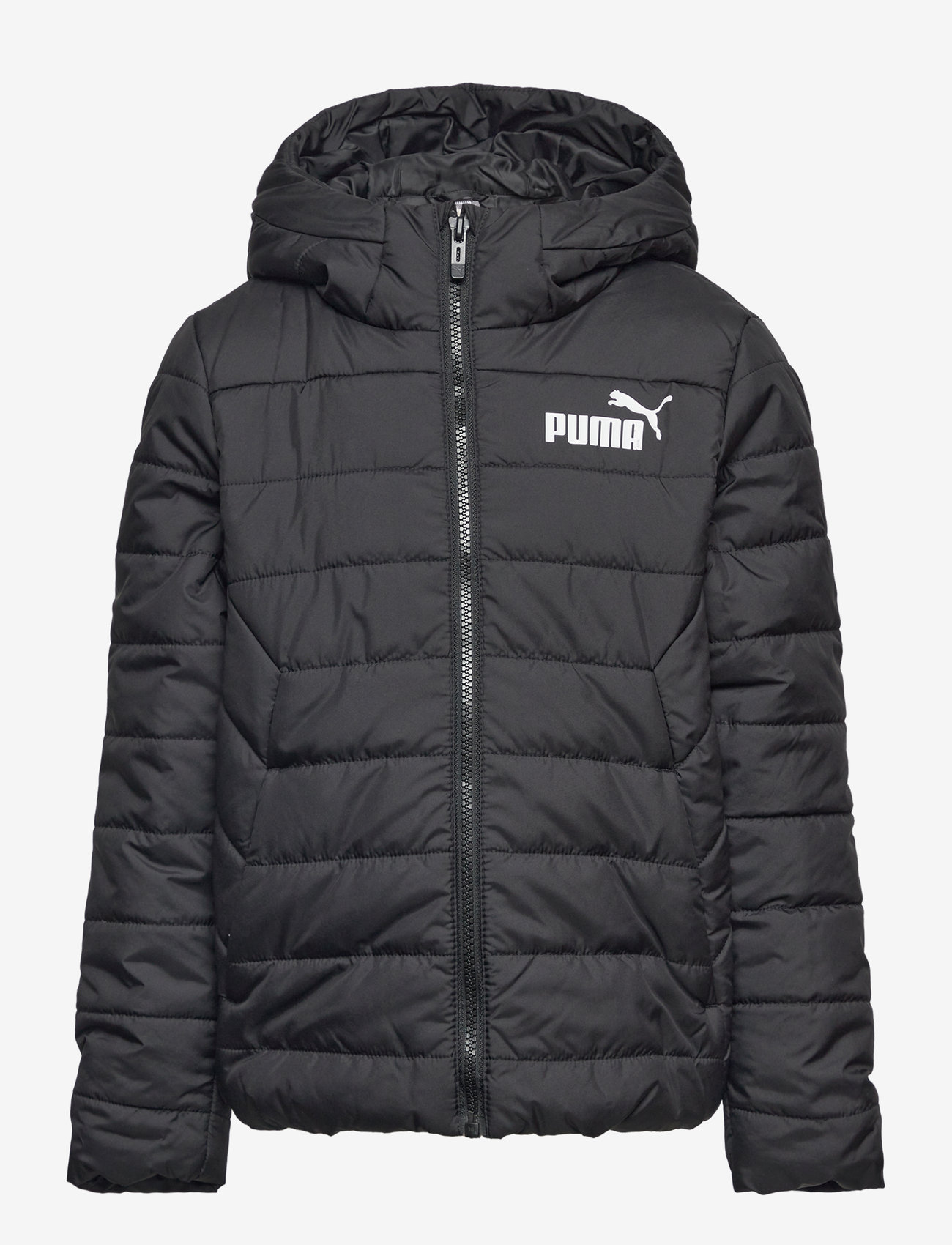 PUMA - ESS Hooded Padded Jacket - insulated jackets - puma black - 1