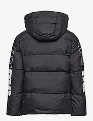 PUMA - PUMA POWER Hooded Jacket - isolerede jakker - puma black - 1