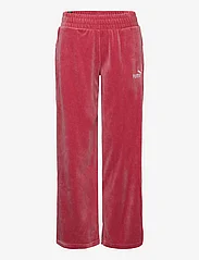 PUMA - ESS ELEVATED Velour Straight Pants - astro red - 0