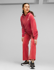 PUMA - ESS ELEVATED Velour Straight Pants - astro red - 3