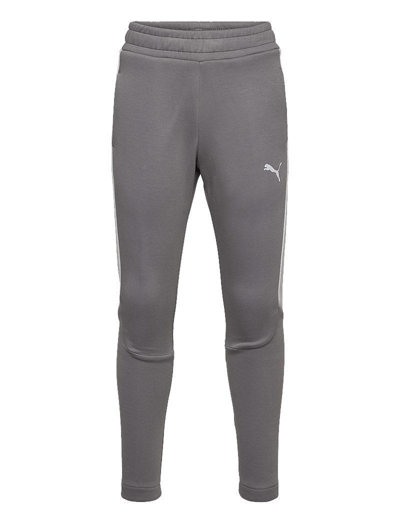 PUMA - EVOSTRIPE Pants DK B - jogginghosen - cast iron - 0
