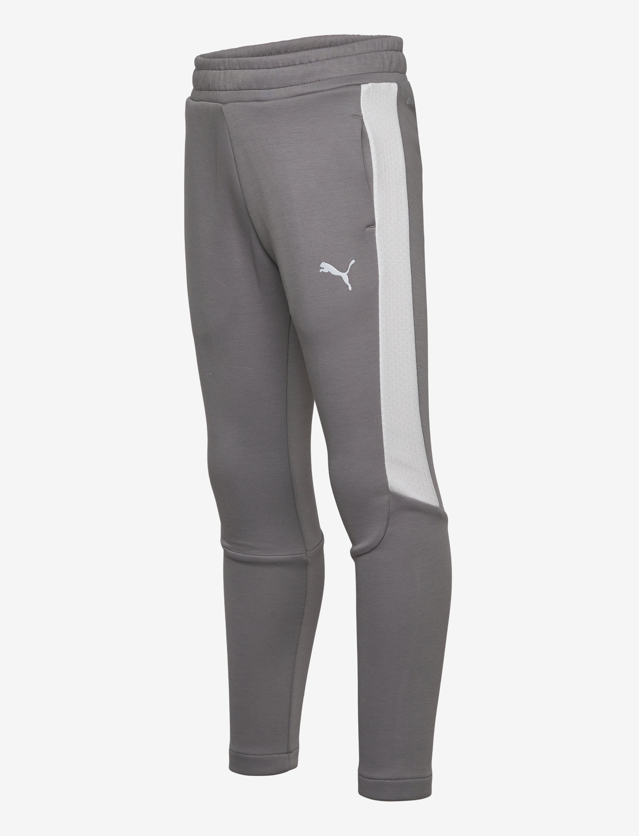 PUMA - EVOSTRIPE Pants DK B - efterårstøj - cast iron - 2