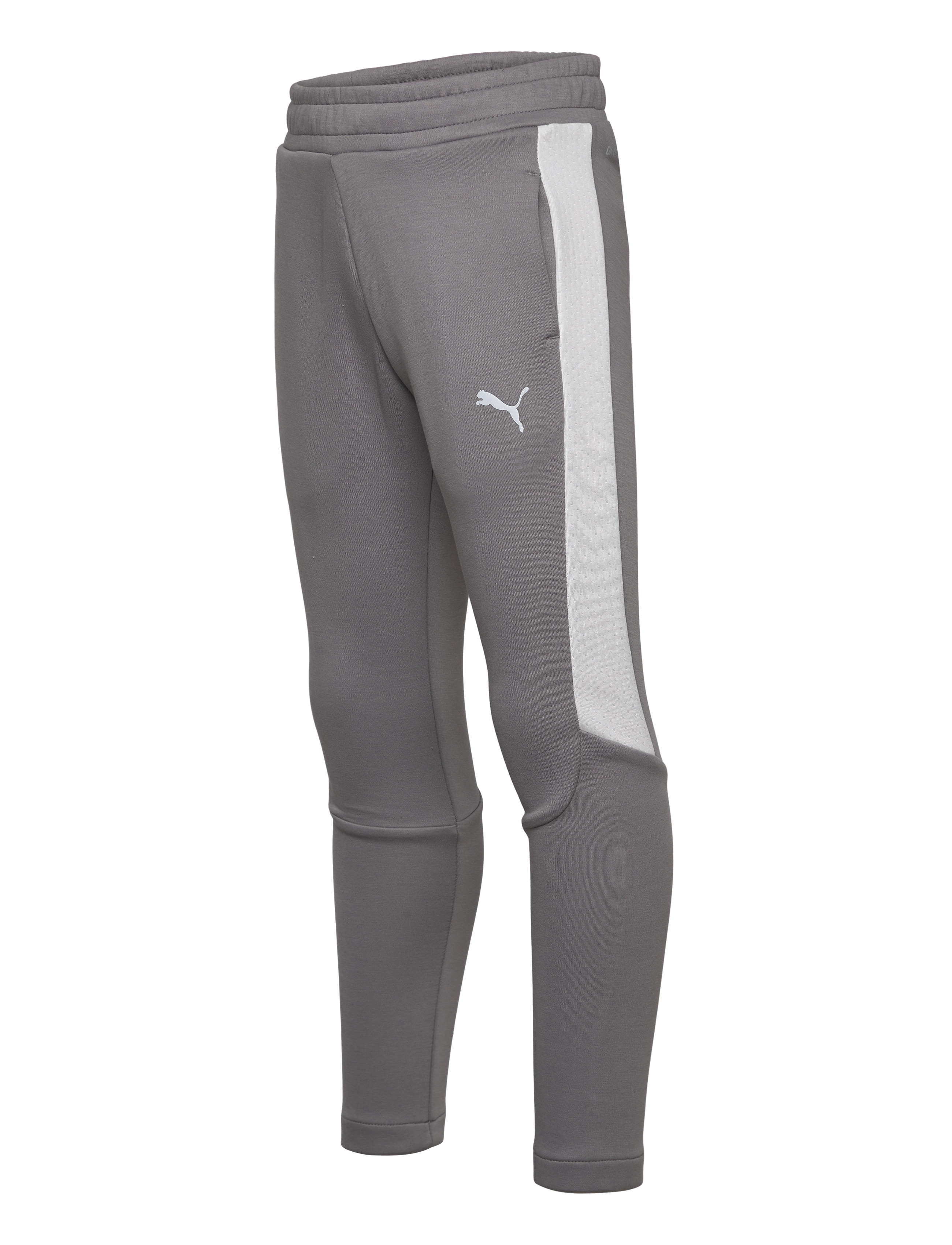PUMA - EVOSTRIPE Pants DK B - cast iron - 2