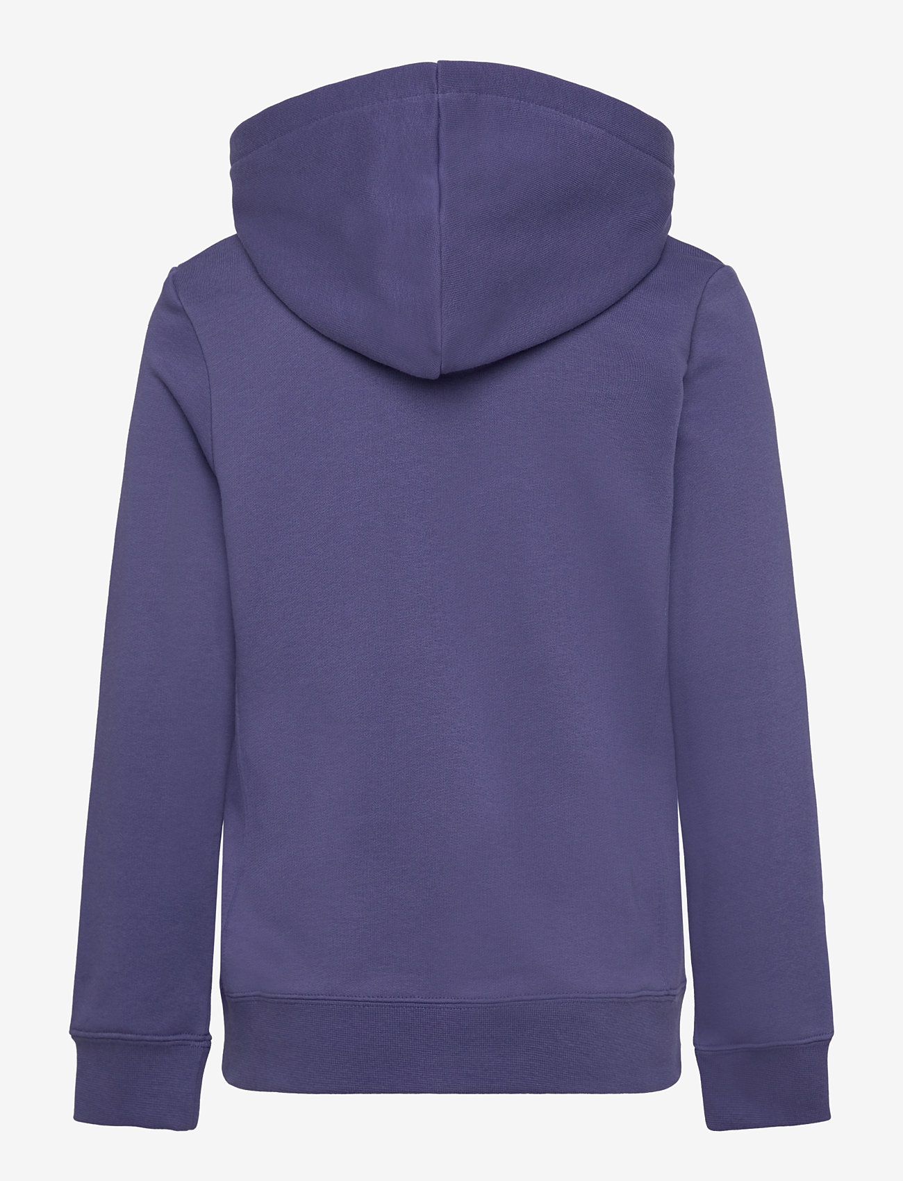 PUMA - PUMA CLASS Hoodie TR G - kapuutsiga dressipluusid - blue crystal - 1