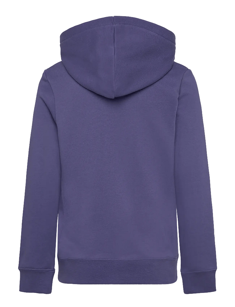 PUMA - PUMA CLASS Hoodie TR G - blue crystal - 1