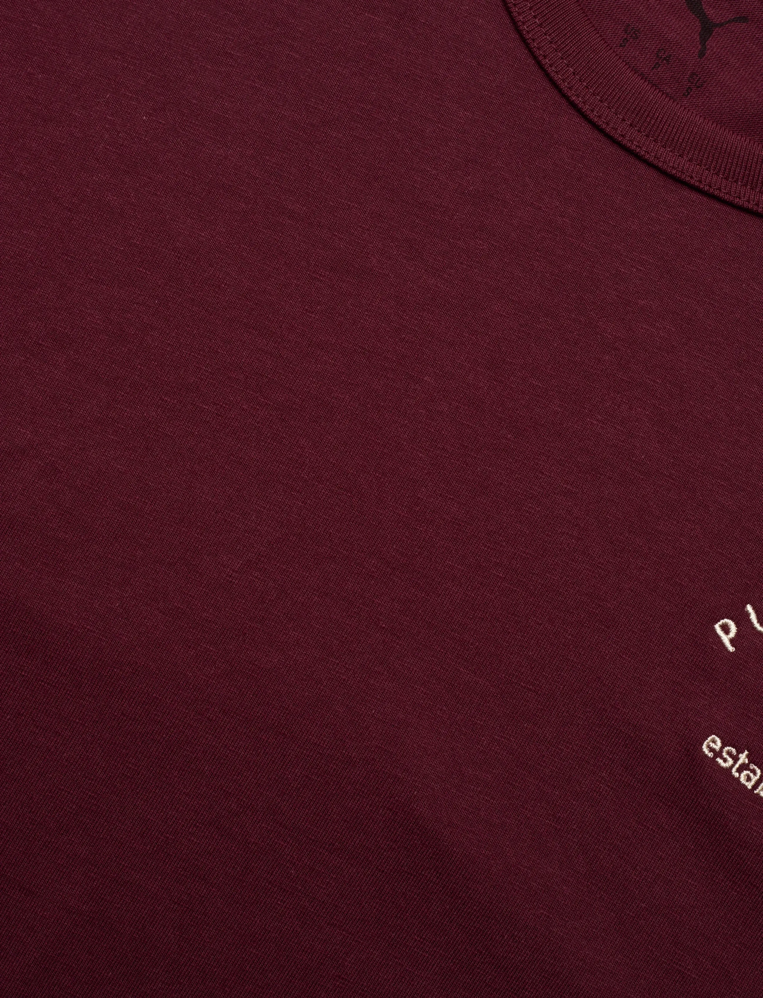 PUMA - PUMA CLASS Relaxed Tee - t-shirty - ruby shimmer - 2