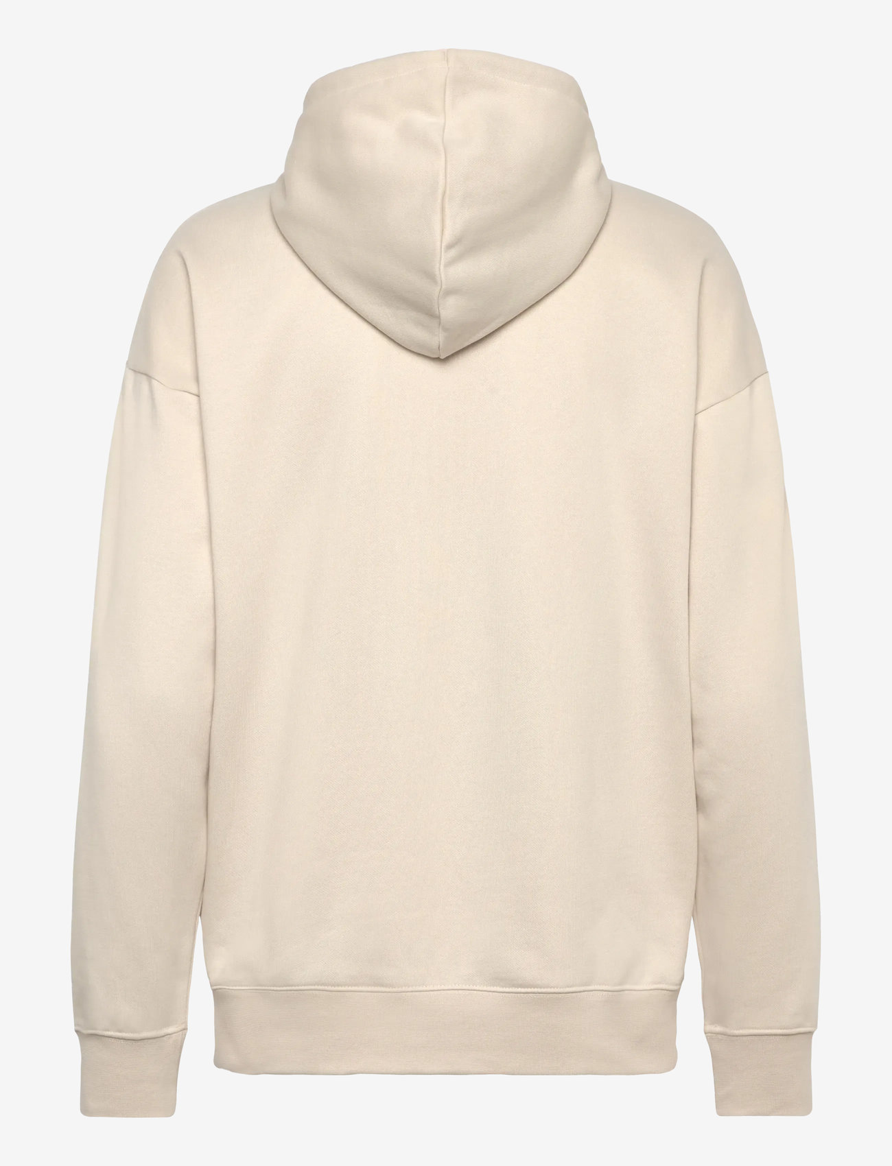 PUMA - PUMA CLASS Relaxed Hoodie FL - tops - alpine snow - 1