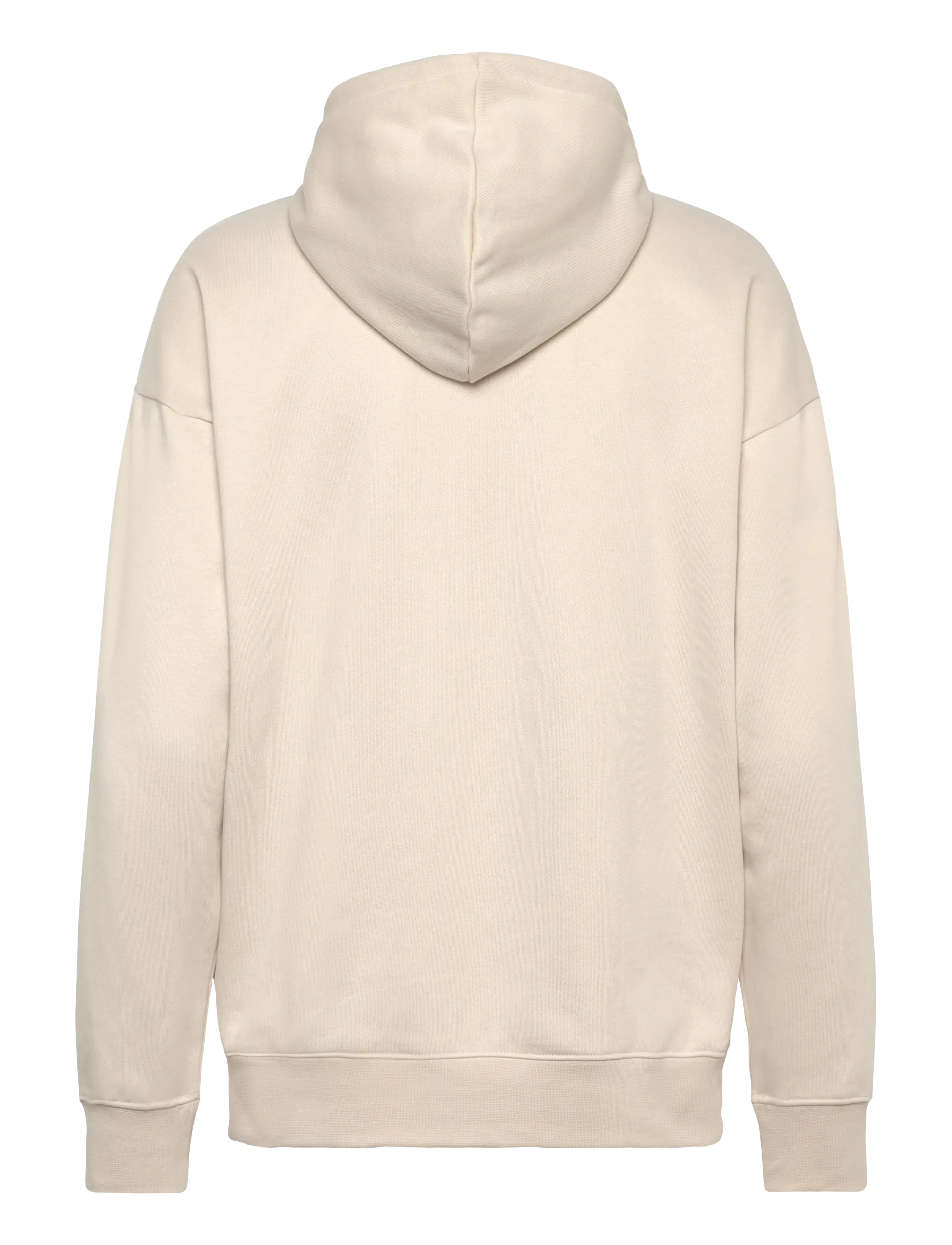 PUMA - PUMA CLASS Relaxed Hoodie FL - huvtröjor - alpine snow - 1