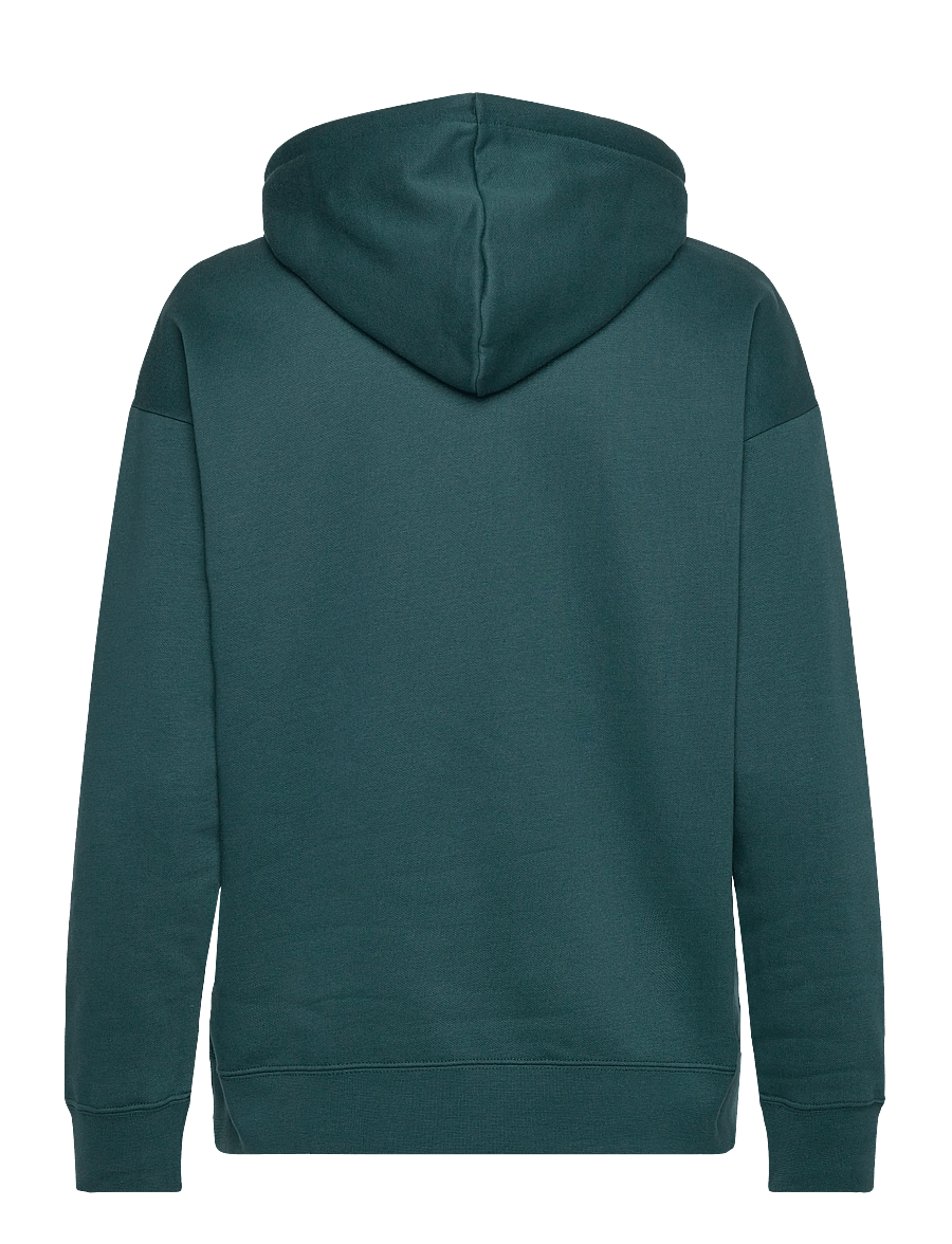 PUMA - PUMA CLASS Relaxed Hoodie FL - kapuutsiga dressipluusid - green terrain - 1