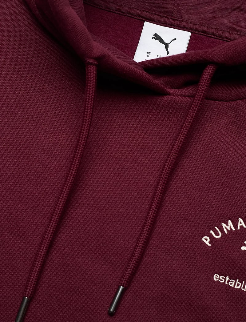 PUMA - PUMA CLASS Relaxed Hoodie FL - oberteile - ruby shimmer - 2