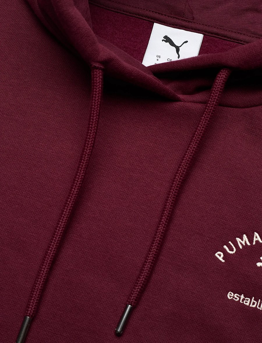 PUMA - PUMA CLASS Relaxed Hoodie FL - sweatshirts - ruby shimmer - 2