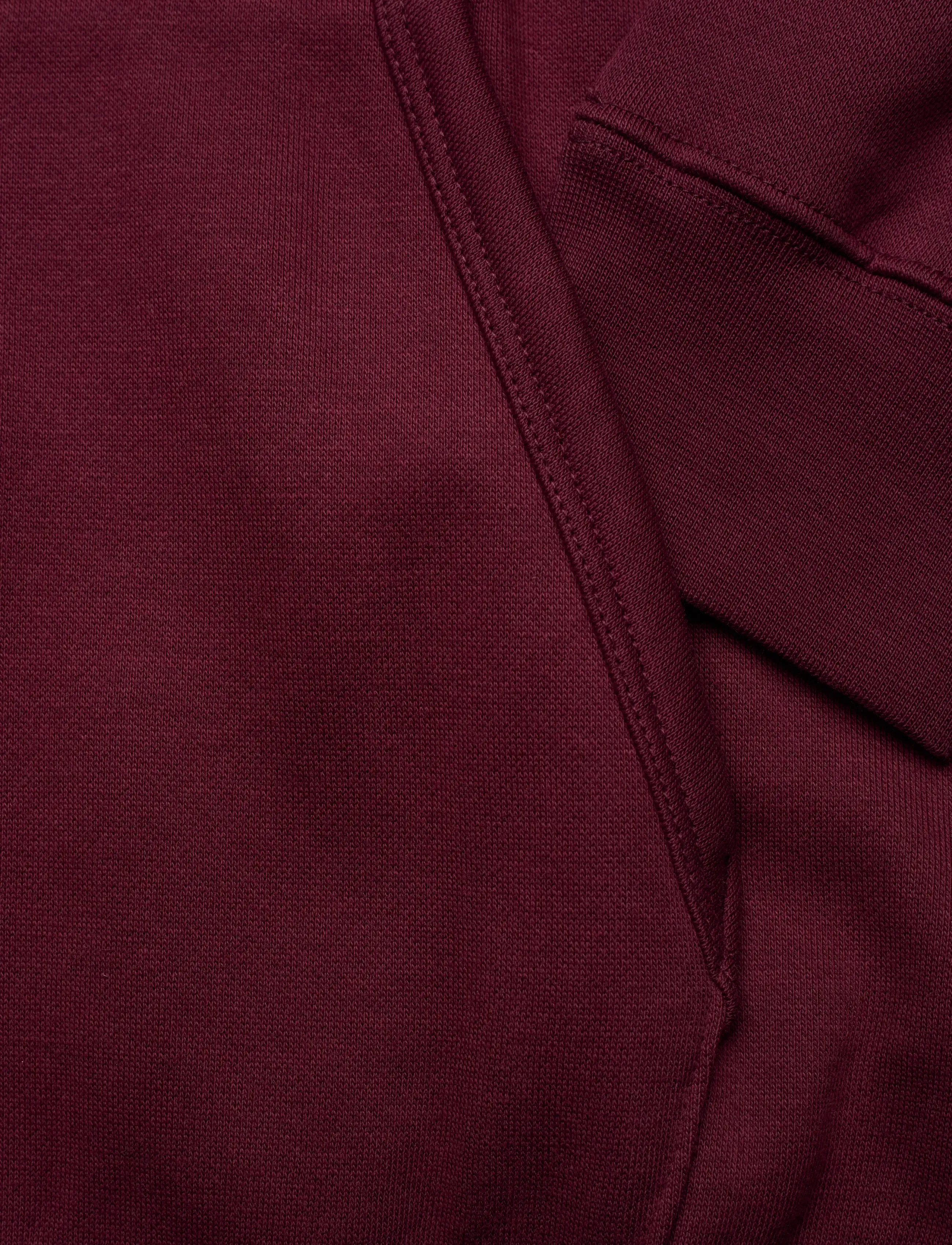 PUMA - PUMA CLASS Relaxed Hoodie FL - oberteile - ruby shimmer - 3