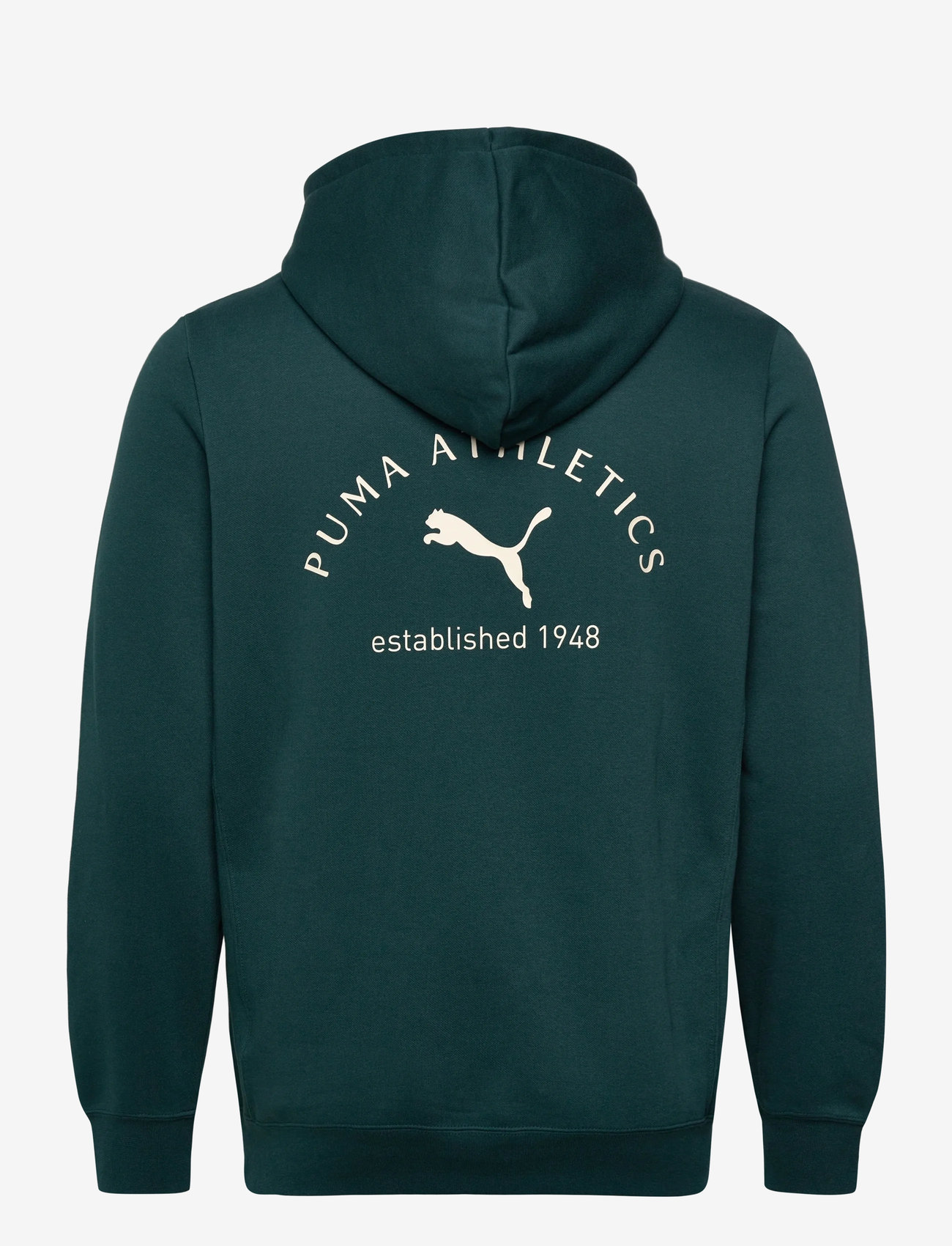 PUMA - PUMA CLASS Graphic Hoodie FL - overdele - green terrain - 1